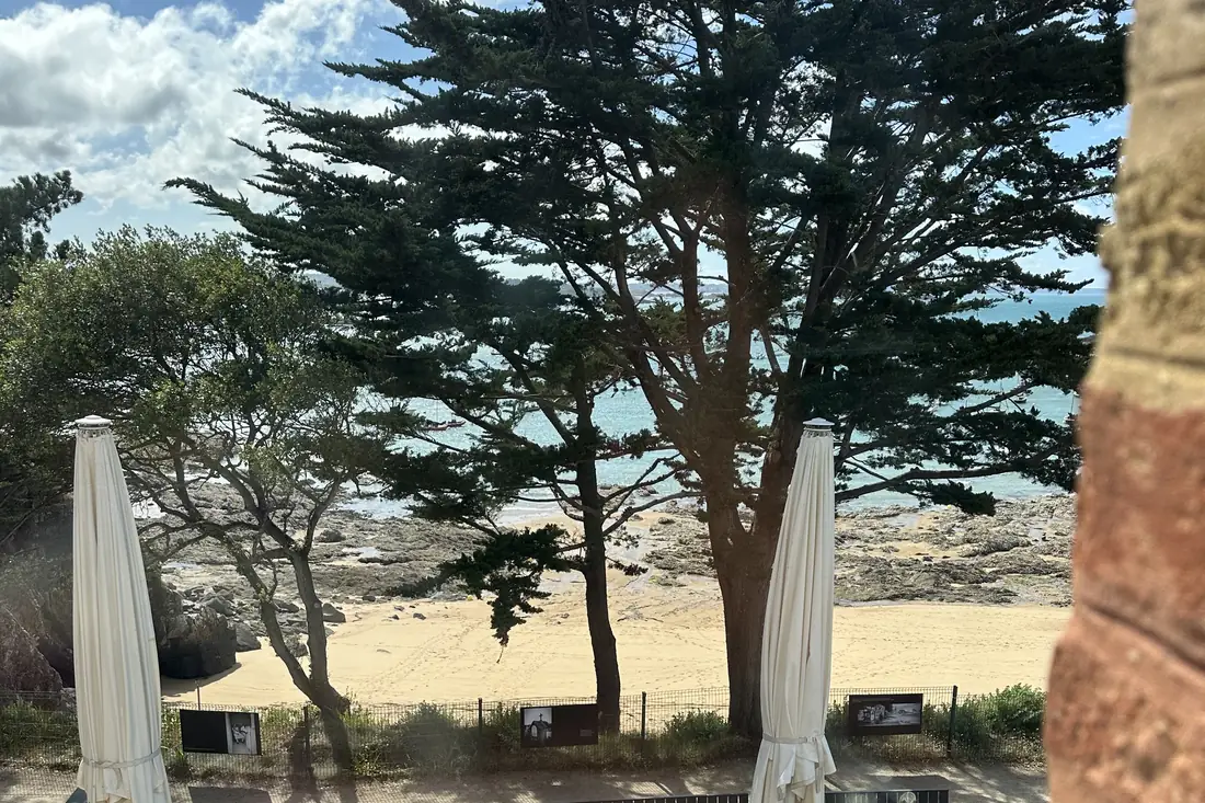 Le Nessay — la terrasse face à la plage, sous les pins